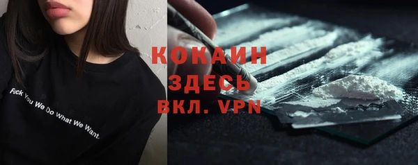 тгк Абаза