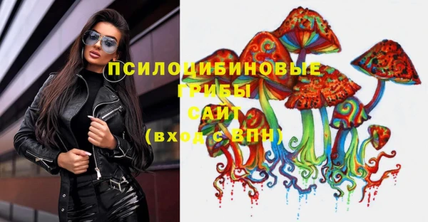 синтетический гашиш Медвежьегорск