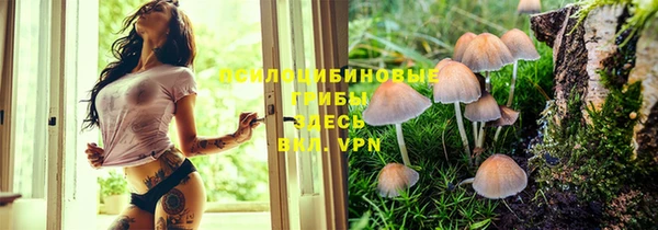 тгк Абаза