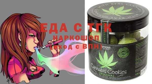 тгк Абаза
