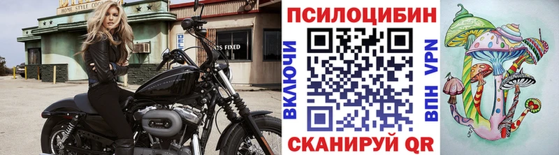 цены наркотик  Эртиль  Псилоцибиновые грибы прущие грибы 